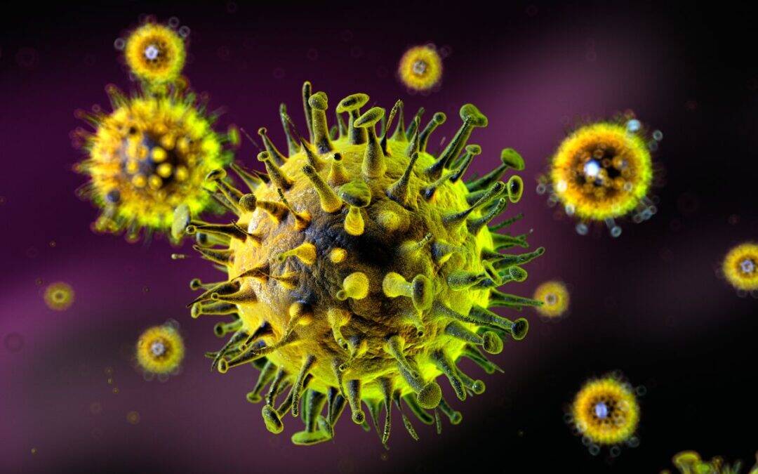 High Alert: What to Know About This Year’s Flu (The “Subclade K” Strain)